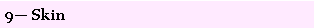 Text Box: 9� Skin