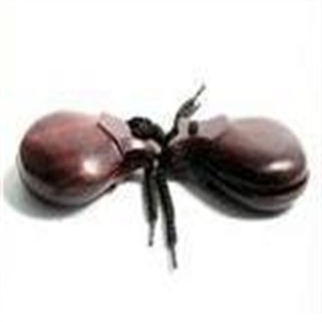 105 Wood Castanets